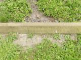image of grave number 578372